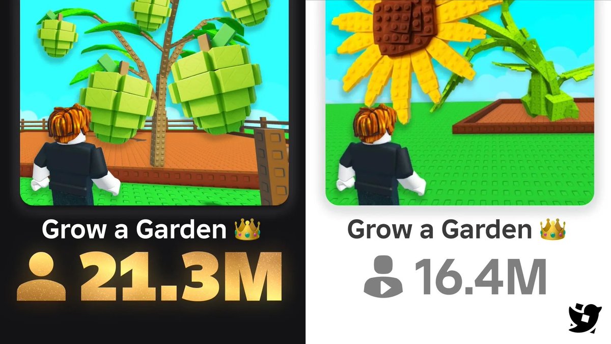 Brain Xiang tweet media