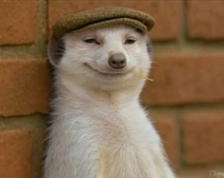 your lightskinned boyfriend watching you complaining about your skin care products