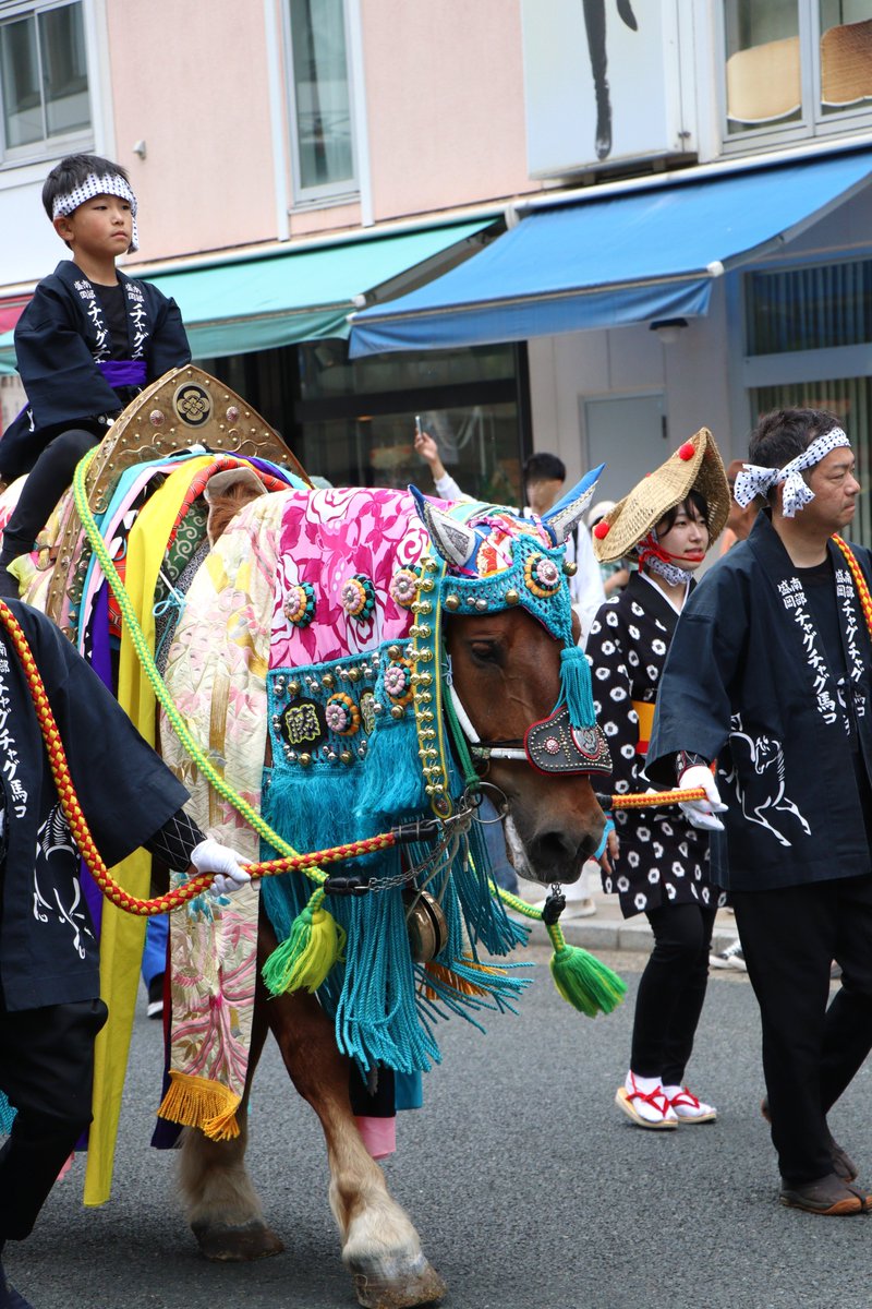2025・06・14 盛岡市 チャグチャグ馬コ。 「6」 3枚目、青い色のは