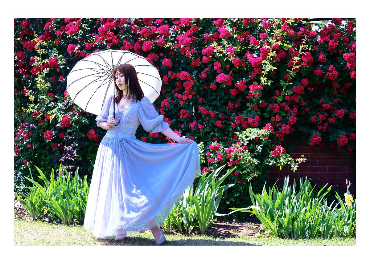 薔薇の季節 3  

Ｍ：kapibaraさん <a href="/satoko40813214/">kapibara</a>