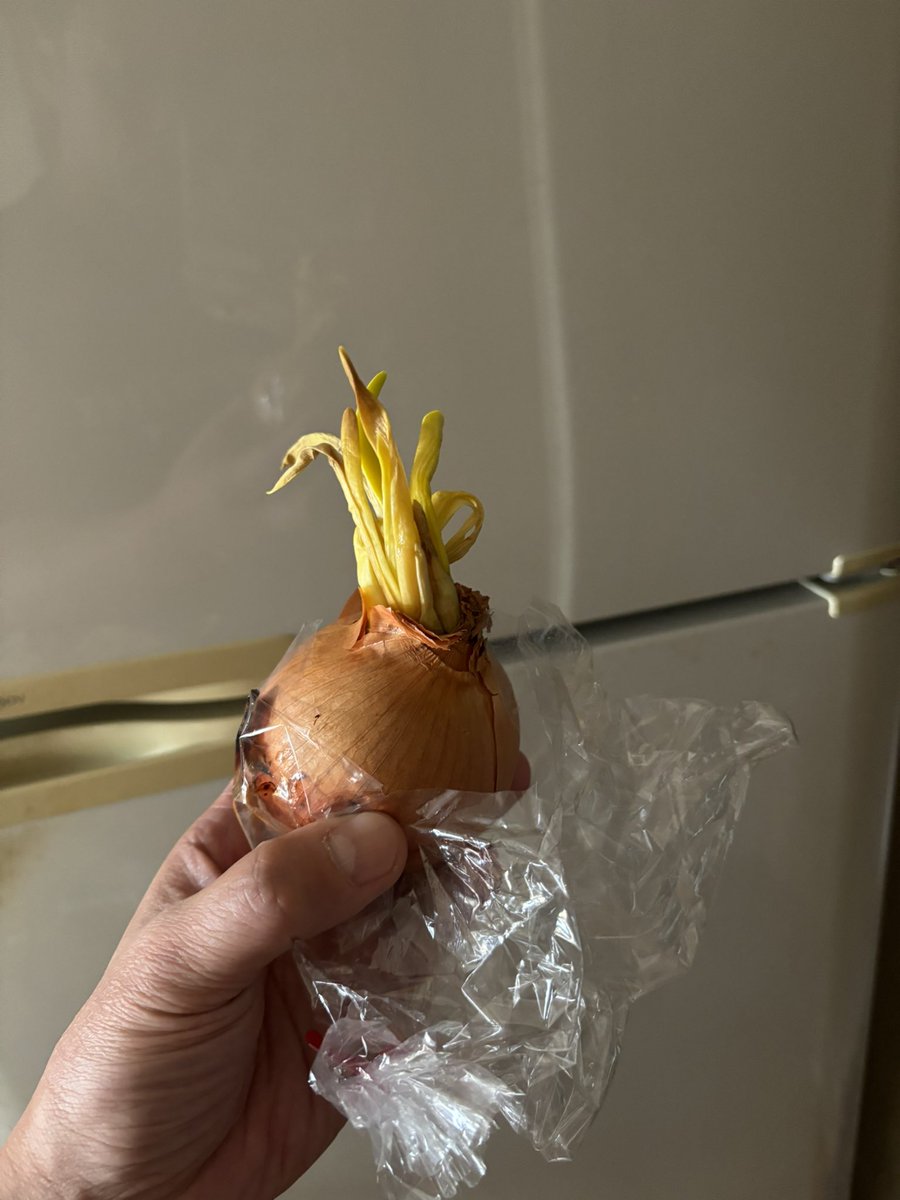 おはようございます😊

今日も笑顔で😊