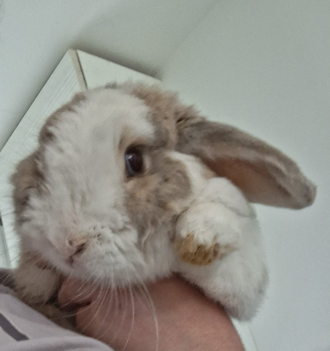 Happy! Ohh how seeing your face again today mean't the entire world ❤️ you healed &amp; broke me all at once! But seeing you being loved means more than words can describe x