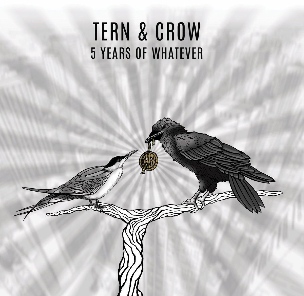 New newsletter out now. Joe talks to Matt at Tern &amp; Crow. 

open.substack.com/pub/earcoffee/…
