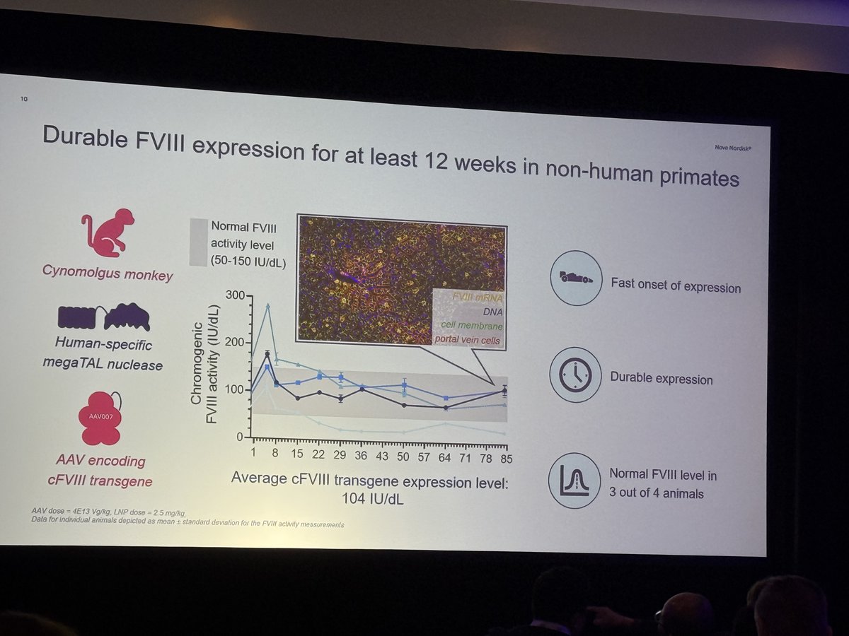 🚀 Revolutionary megaTAL Technology. Jacob Lund and Novo Nordisk just dropped game-changing preclinical data at ISTH 2025! Their megaTAL nuclease platform precisely inserts FVIII genes into liver cells. Genomic insertion and FVIII expression were proportional to nuclease activity