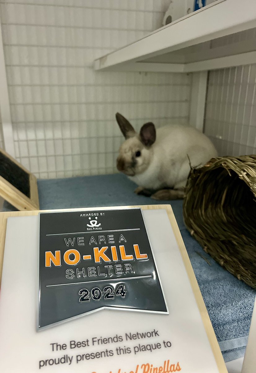 Humane Society of Pinellas tweet media