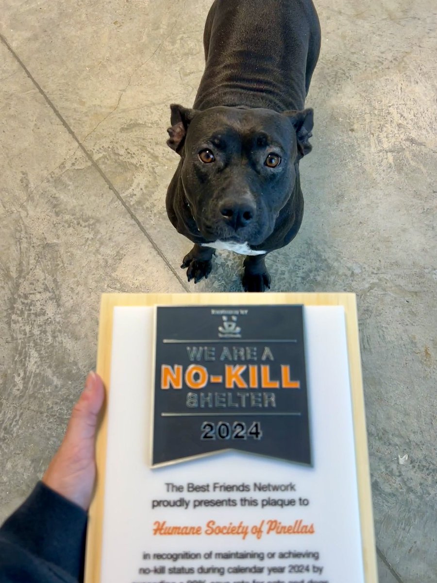 Humane Society of Pinellas tweet media