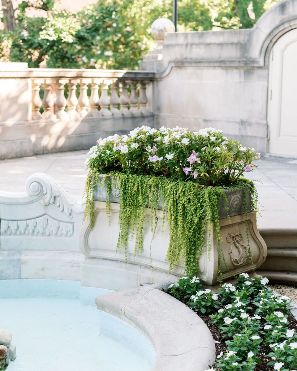 Ridgewells Catering tweet media