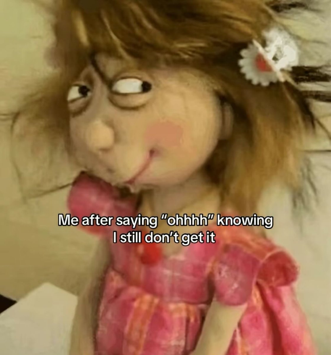 Out Of Context Animals (@animalscontexts) on Twitter photo 