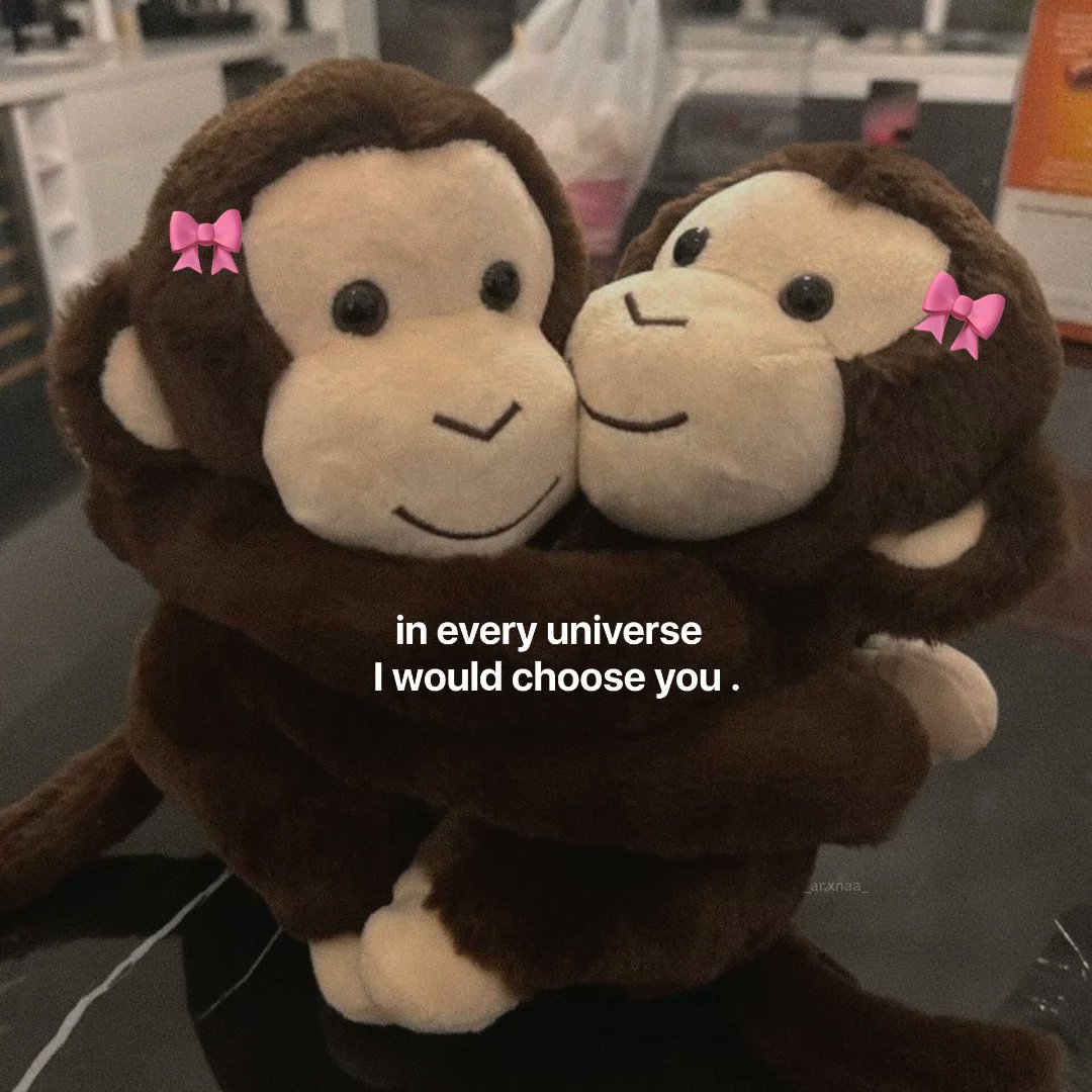 Out Of Context Animals (@animalscontexts) on Twitter photo 