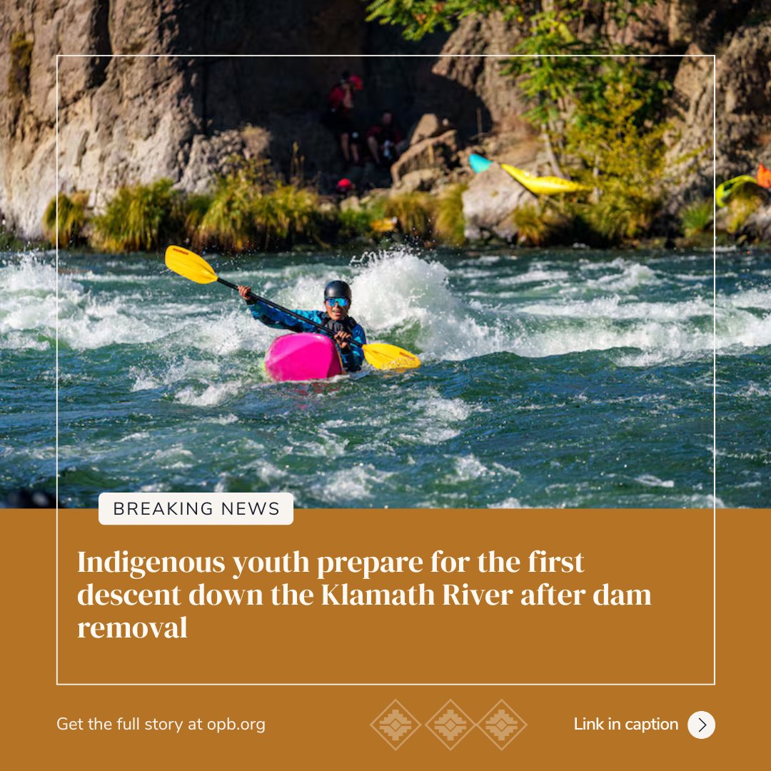 Rooted in tradition. Rising with purpose.⭐ We celebrate these bright stars lighting the way for others who share their dreams.
.
.

🏞️ yuroktribe.org/post/largest-e…

🛶 opb.org/article/2025/0…

#restorebalance #redstarintl #indigenousknowledge