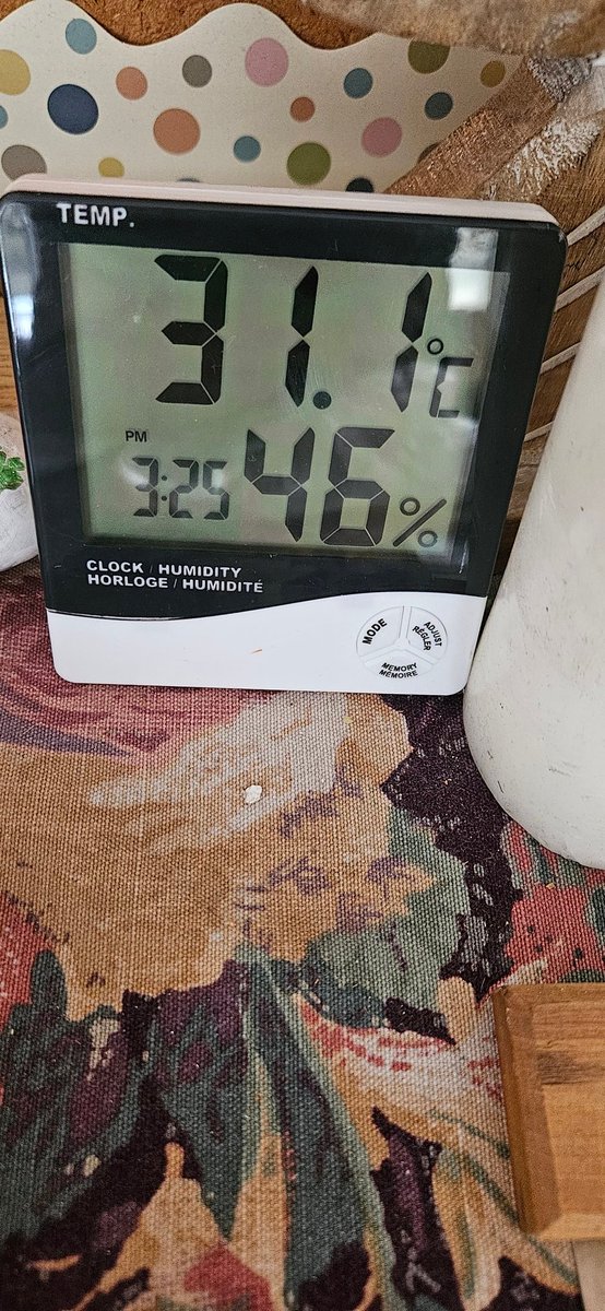 End of the day today it was 31.1C.... the kids spent time taking turns in front of the fan and being sprayed by water... if it is too hot to work in this heat, then it's too hot for kids to be in buildings with no air.... 
#TooHottohandle #heatwave #Ontario #school #elementary