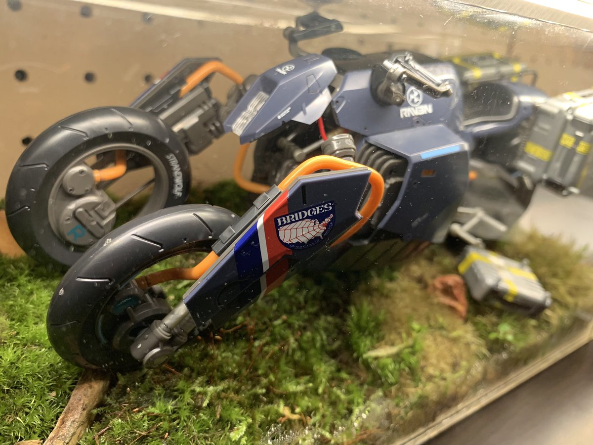 てらおう tweet media