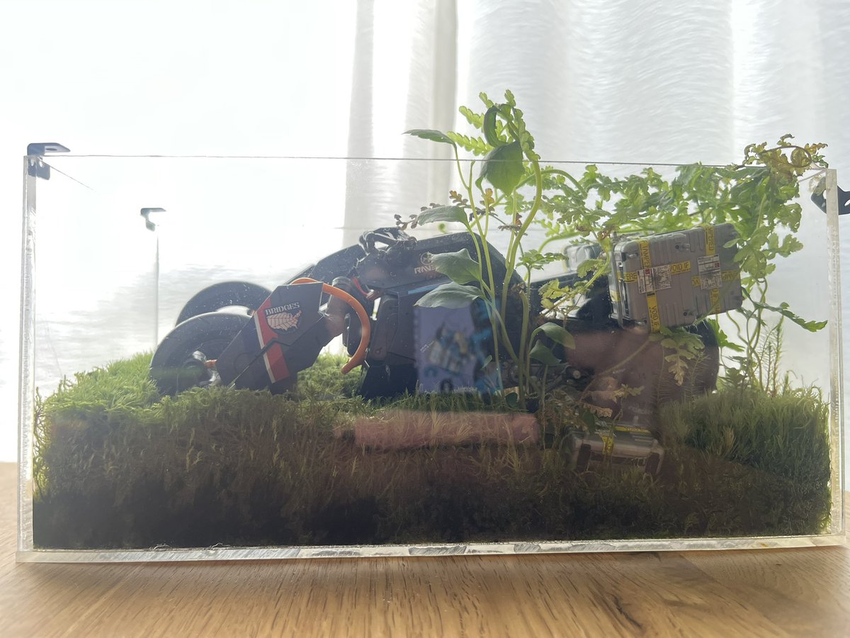 てらおう tweet media