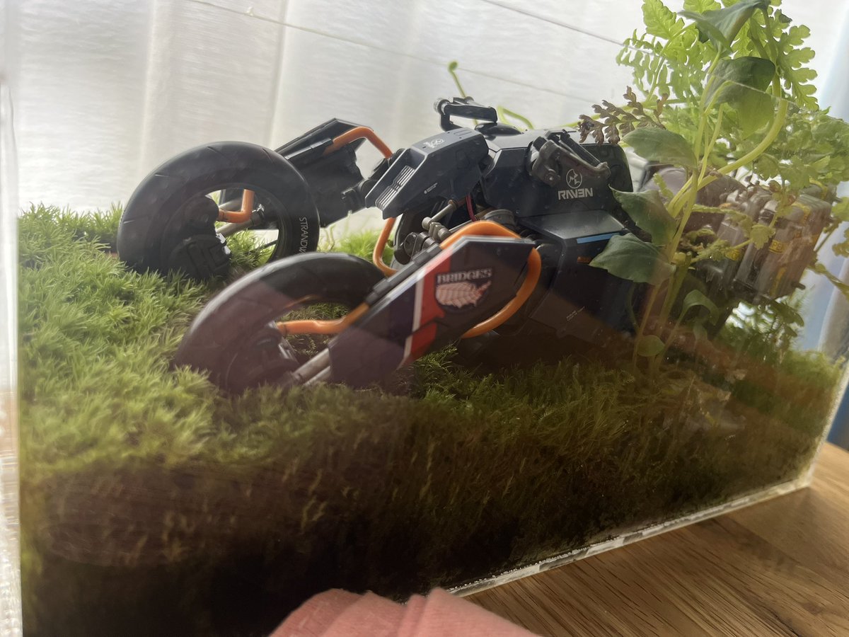 てらおう tweet media