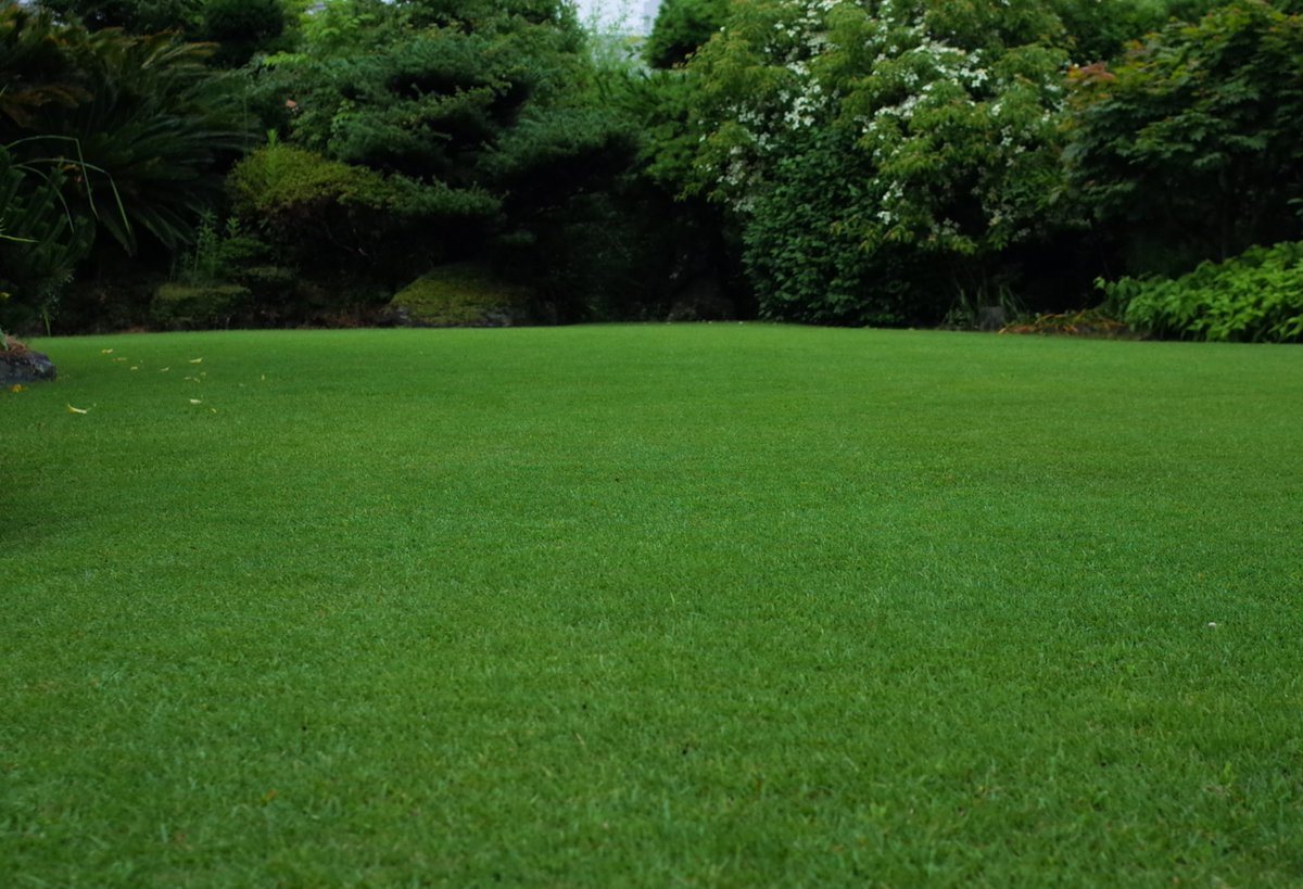 雨間に施肥
大分揃いました