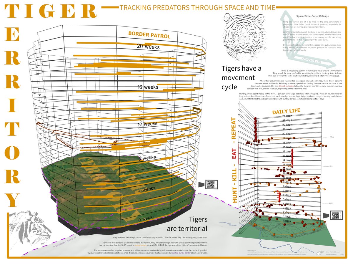 Nathan Shephard tweet media