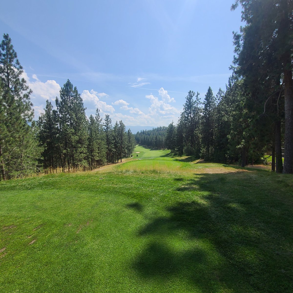 GolfSupers's tweet image. Thank you to @Tlhort for your support of the Shamble. #summershamble25