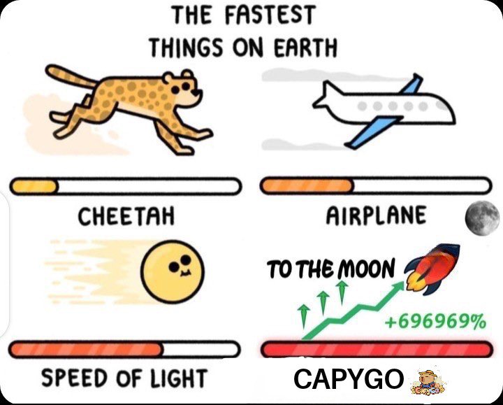 mocha_0100's tweet image. My 6th  entry 
@Capygoio 

#CapyMemeContest