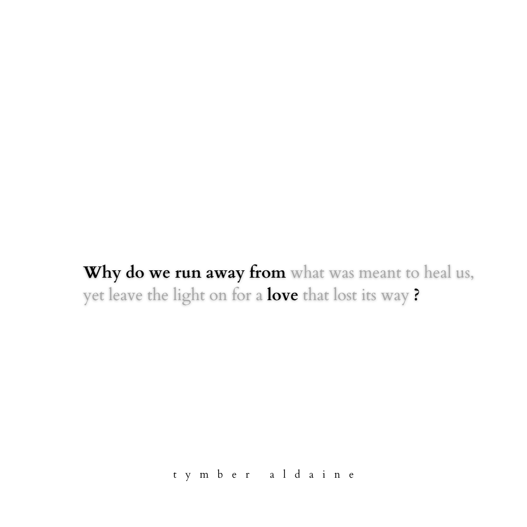 TymberAldaine's tweet photo. a.morning.that.will.never.come 

help me grow 🌻#tymberaldaine

#poetry #POEMS #poetrytwitter #writerscommunity #Writers #poetsofTwitter #WritingCommunity #AuthorsOfTwitter #poetrylovers #readingcommunity #art #poetrycommunity #writersoftwitter https://t.co/GBPgA1vW6g