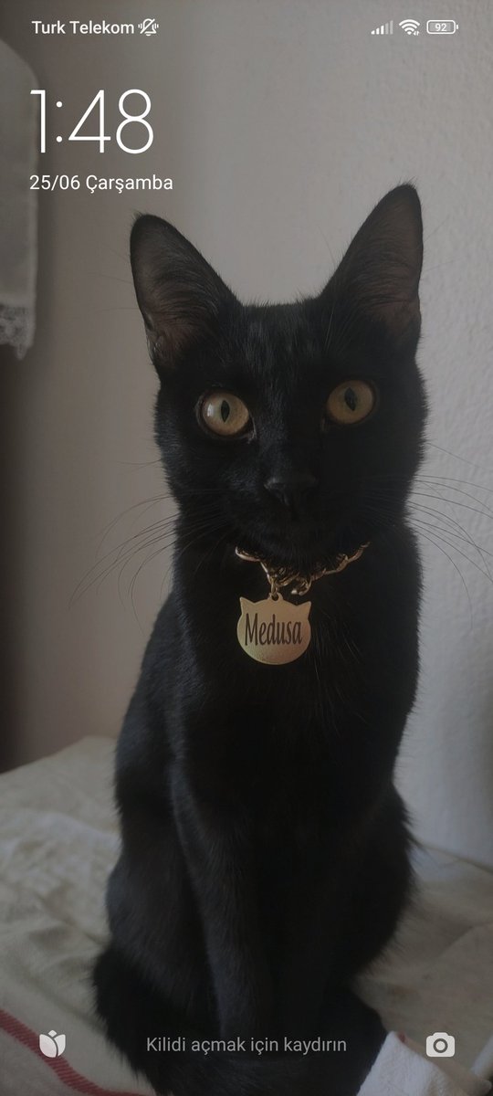 Medusa&Korsan tweet media