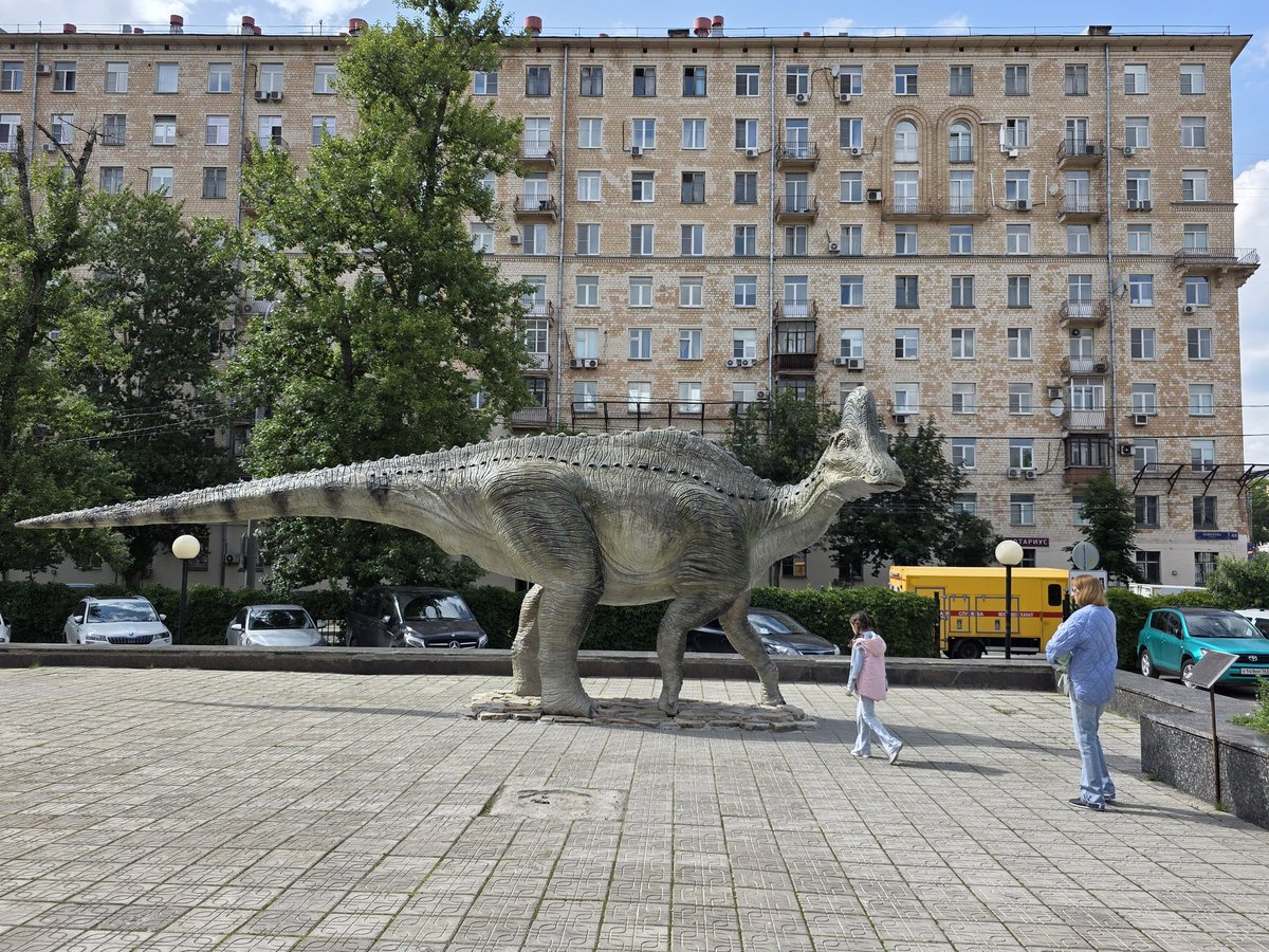 AKantemirov's tweet image. A few more random shots. Some custom built playgrounds here are jawdropping. Will have to visit with Alisa next time to test for safety.