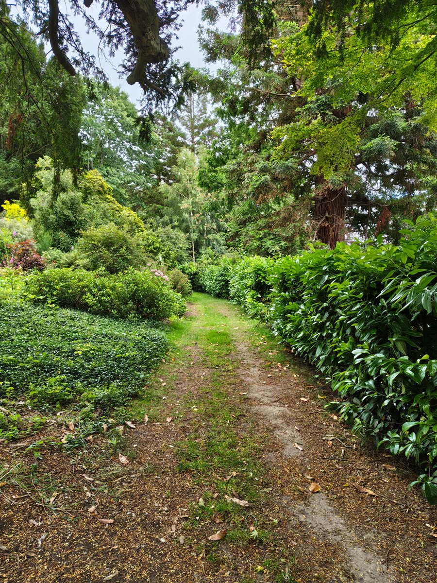 jayꙮ (@eyes8atelier) on Twitter photo 