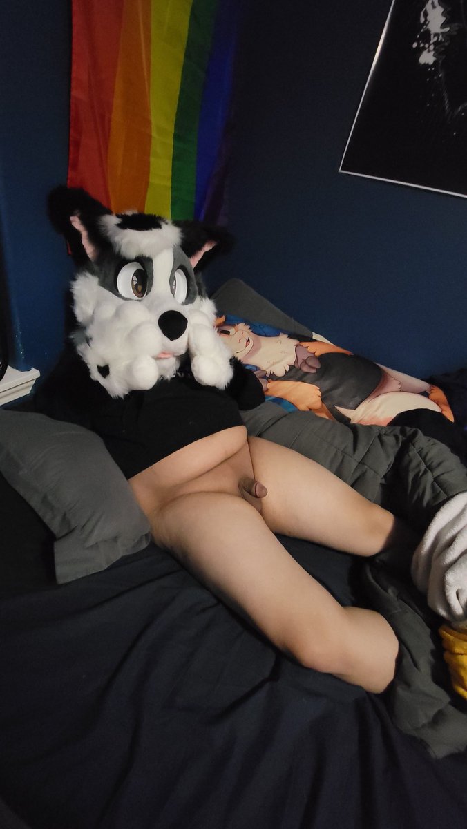 SmudgeCollieAD's tweet photo. Heyo, welcome to my page!

Im smudge, an amab agender puppy.
Open to hookups and such if you're nearby, but only after getting to know you. My DMs are open, i love talking to new people! (I won't respond to "hi" esque dms).
Please put your pits or ass in my face so I can sniff 🥴 https://t.co/sdbKr2O4te
