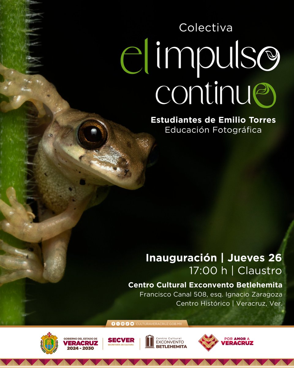 ¿Y si mirar fuera también transformar?
Te invitamos a la colectiva fotográfica 𝗲𝗹 𝗶𝗺𝗽𝘂𝗹𝘀𝗼 𝗰𝗼𝗻𝘁𝗶𝗻𝘂𝗼, una muestra de miradas, procesos y aprendizajes construidos en comunidad a lo largo de 8 años.

🗓️Inauguración: jueves 26 de junio
🕔17 h

#SECVER #CulturaVeracruz