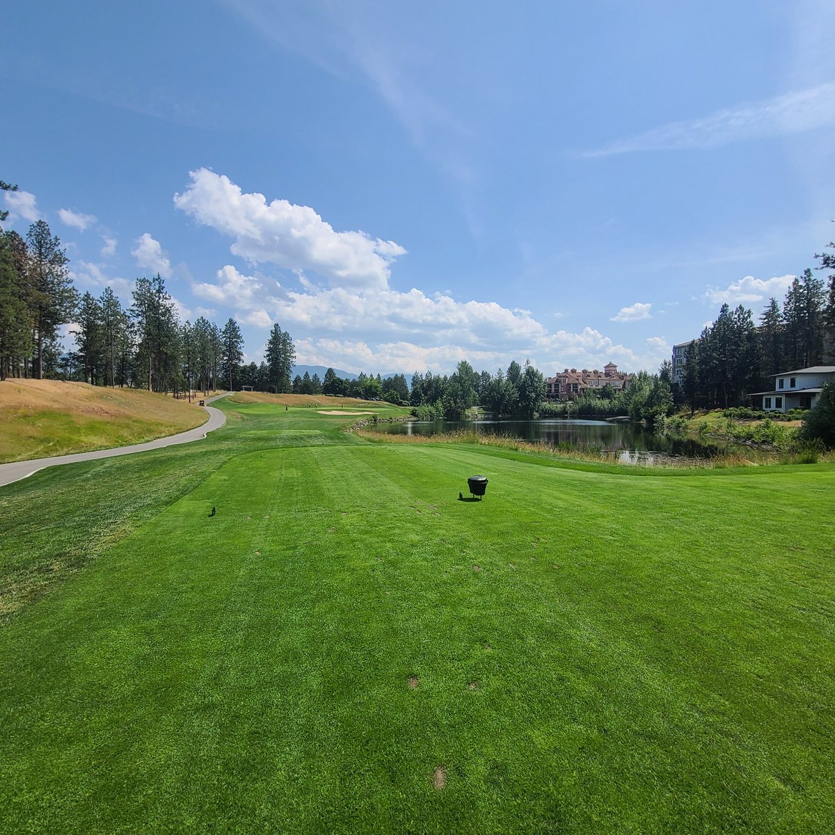GolfSupers's tweet image. Thank you to Tim Kubash Group for your support of the Shamble. #summershamble25
