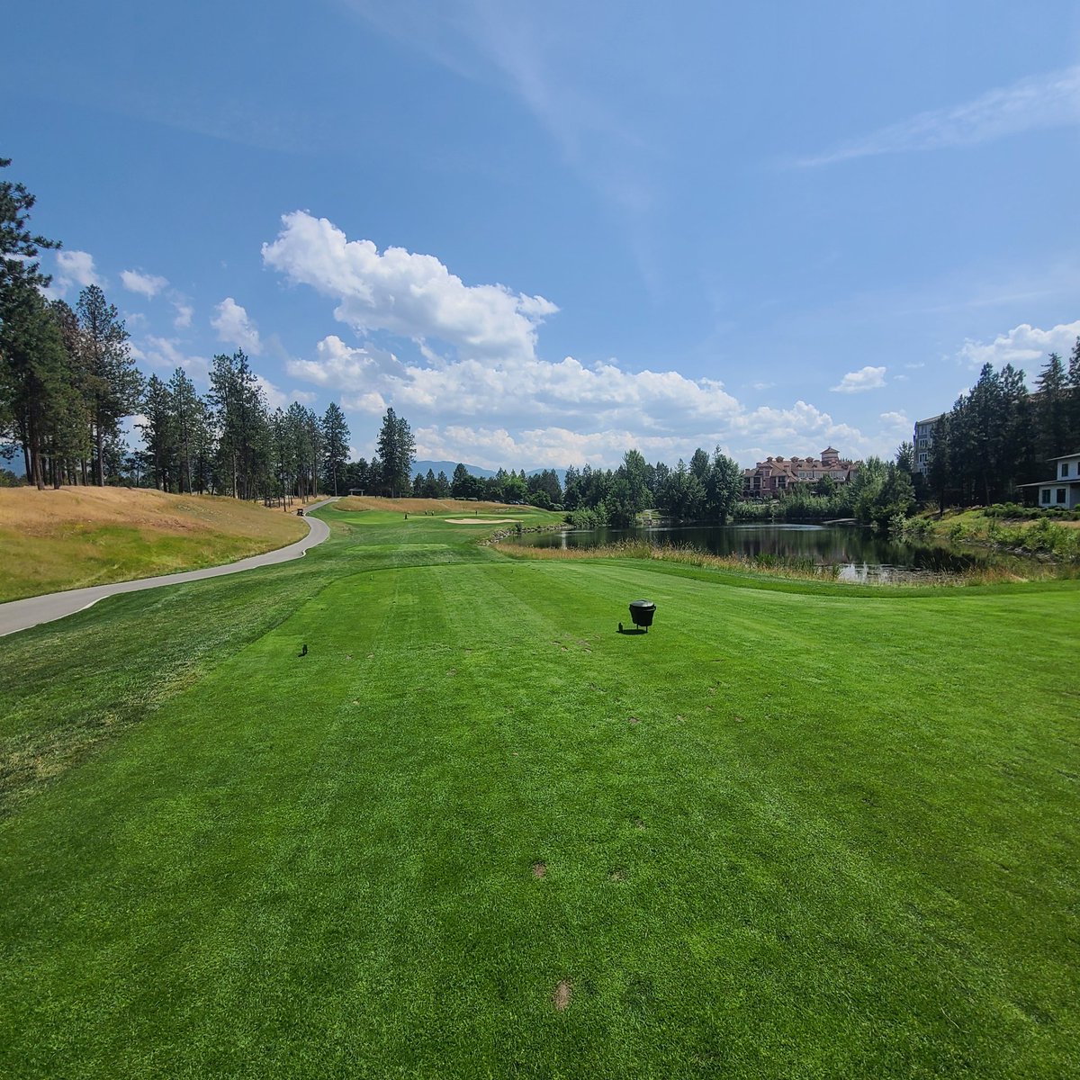 GolfSupers's tweet image. Thank you to Tim Kubash Group for your support of the Shamble. #summershamble25