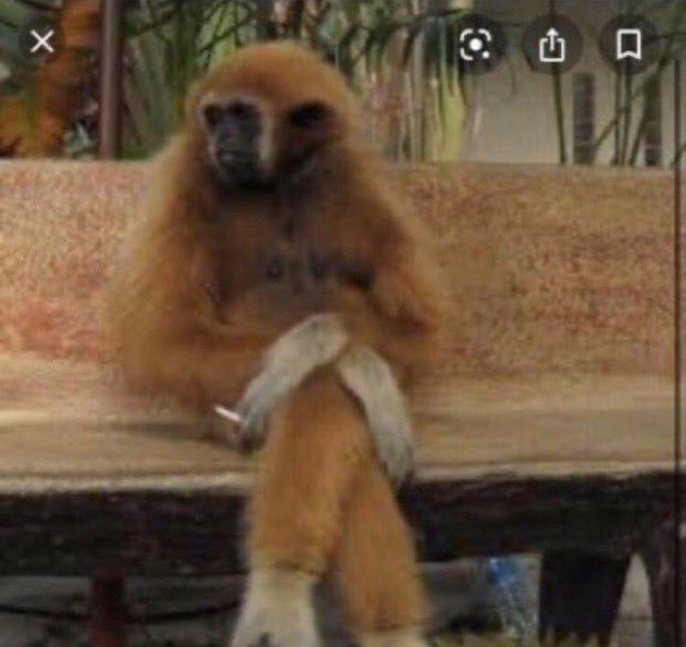 first day back at work in 2 weeks and im leaving the type of upset that not even a walk in nature could fix