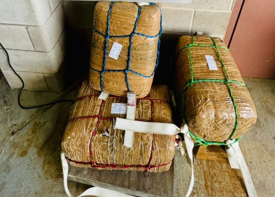 TxDPSSouth's tweet photo. 🚨 DPS Troopers seized 160 lbs. of marijuana in Cameron County during a joint anti-smuggling op. Part of #OperationLoneStar.
#BorderSecurity #RGV #ProtectingTexas @TxDPS https://t.co/d0R3qPxLWt