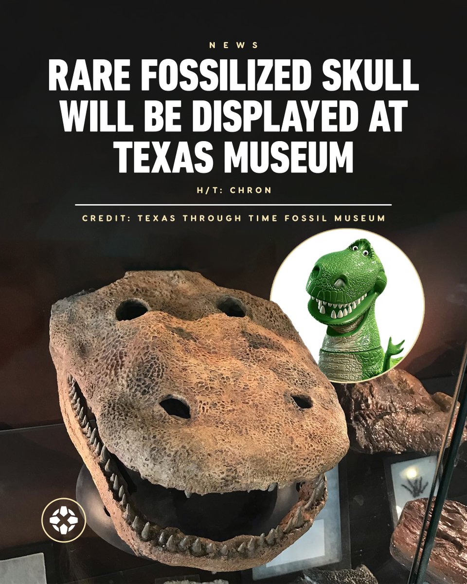 A skull that resembles Rex from Toy Story has been found in North Central Texas. The nearly complete skull of an over 280 million-year-old amphibian will eventually be displayed at the Texas Through Time Fossil Museum.

For more info: bit.ly/4kgYaHm