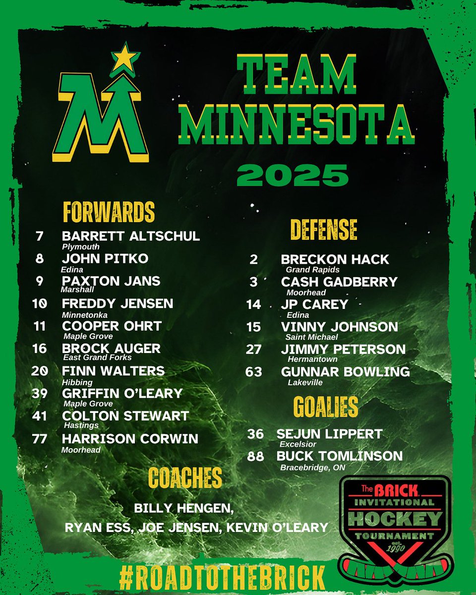 TeamMinnesotaBrick tweet media