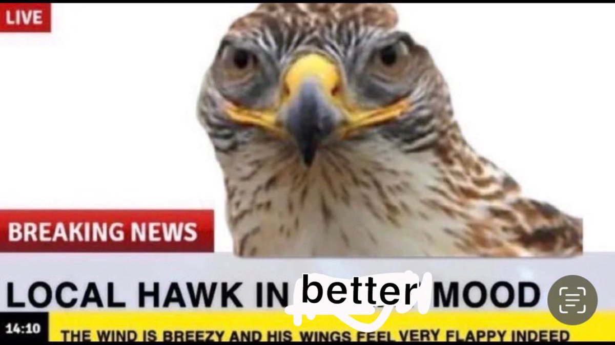 TINGUS PINGUS X TRAE LOBS GON FEED FAMILIES🤤🤤