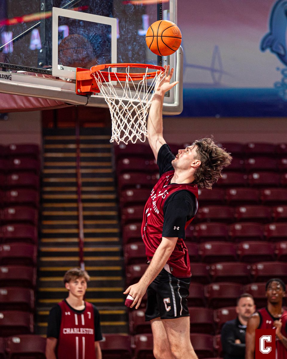 CofCBasketball's tweet photo. Welcome to TD @Will_morts15 🌴🏀 https://t.co/sj1jYOVT2v