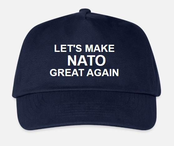 PeeveeHa's tweet image. #NATOSummit