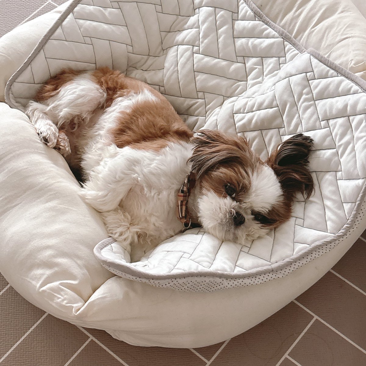 자세 기가 막힌다