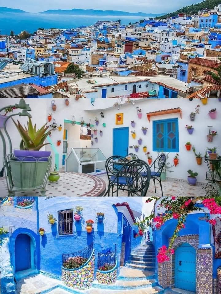 SafariMorocco's tweet photo. Scopri il Marocco Con Iguanasaharatours.Marocco Viaggi Tour Operator Tour città imperiali Tour marocco deserto e mare.

La Tua Agenzai di Viaggio in Marocco 
Contacter + Info :
☎️+212 666147159
📱whasstpp +212 666 50 90 90
📧Iguanasaharatours@gmail.com
🌐 https://t.co/7NVKz9sEya https://t.co/JK6WSW4uOn