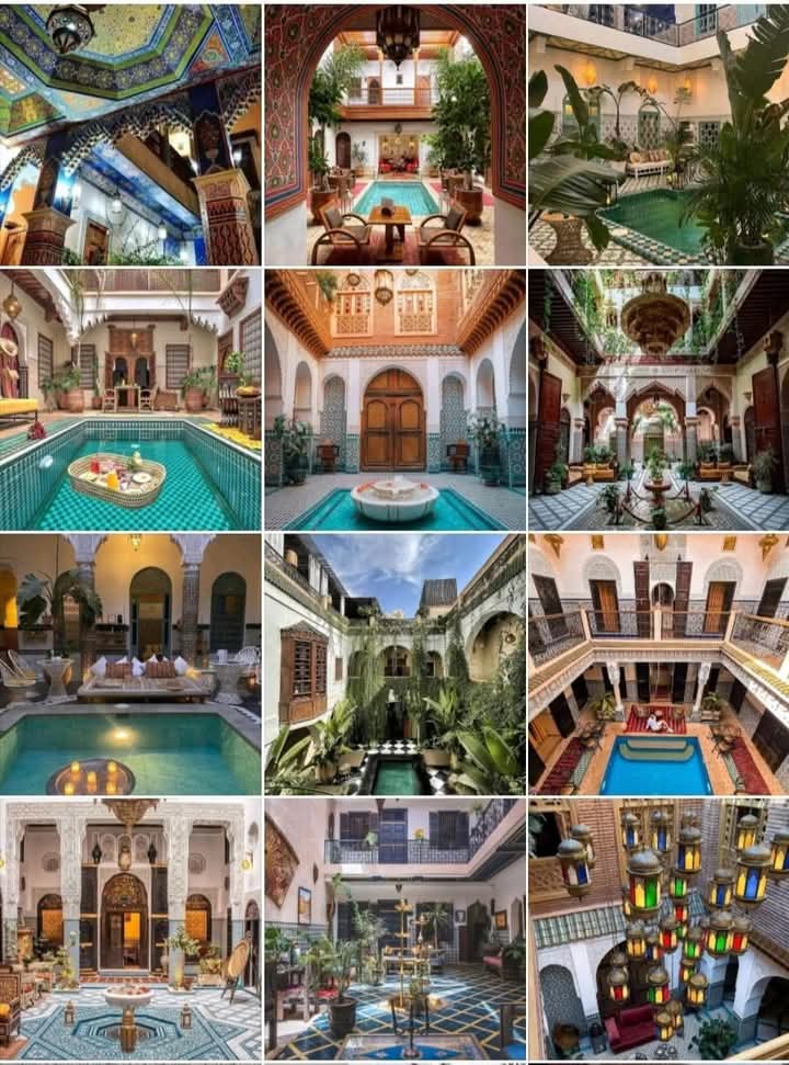 SafariMorocco's tweet photo. Scopri il Marocco Con Iguanasaharatours.Marocco Viaggi Tour Operator Tour città imperiali Tour marocco deserto e mare.

La Tua Agenzai di Viaggio in Marocco 
Contacter + Info :
☎️+212 666147159
📱whasstpp +212 666 50 90 90
📧Iguanasaharatours@gmail.com
🌐 https://t.co/7NVKz9sEya https://t.co/JK6WSW4uOn