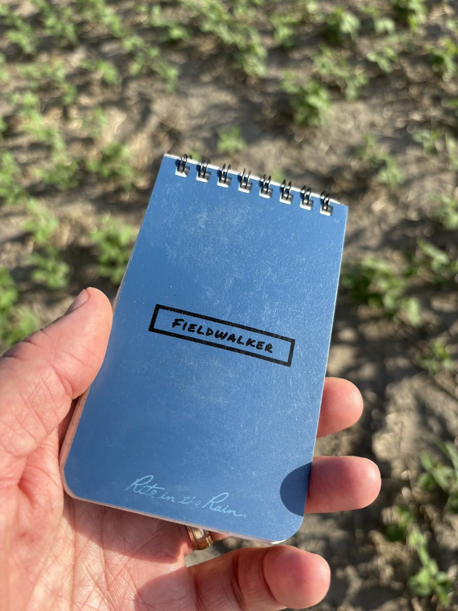 When all else fails, you make your own scouting notebooks.