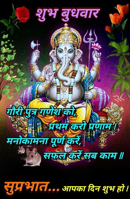 ॐ श्री गणपतए नमो नमः 🚩🌿
ॐ श्री गणपति बप्पा मोरया 🚩🌿