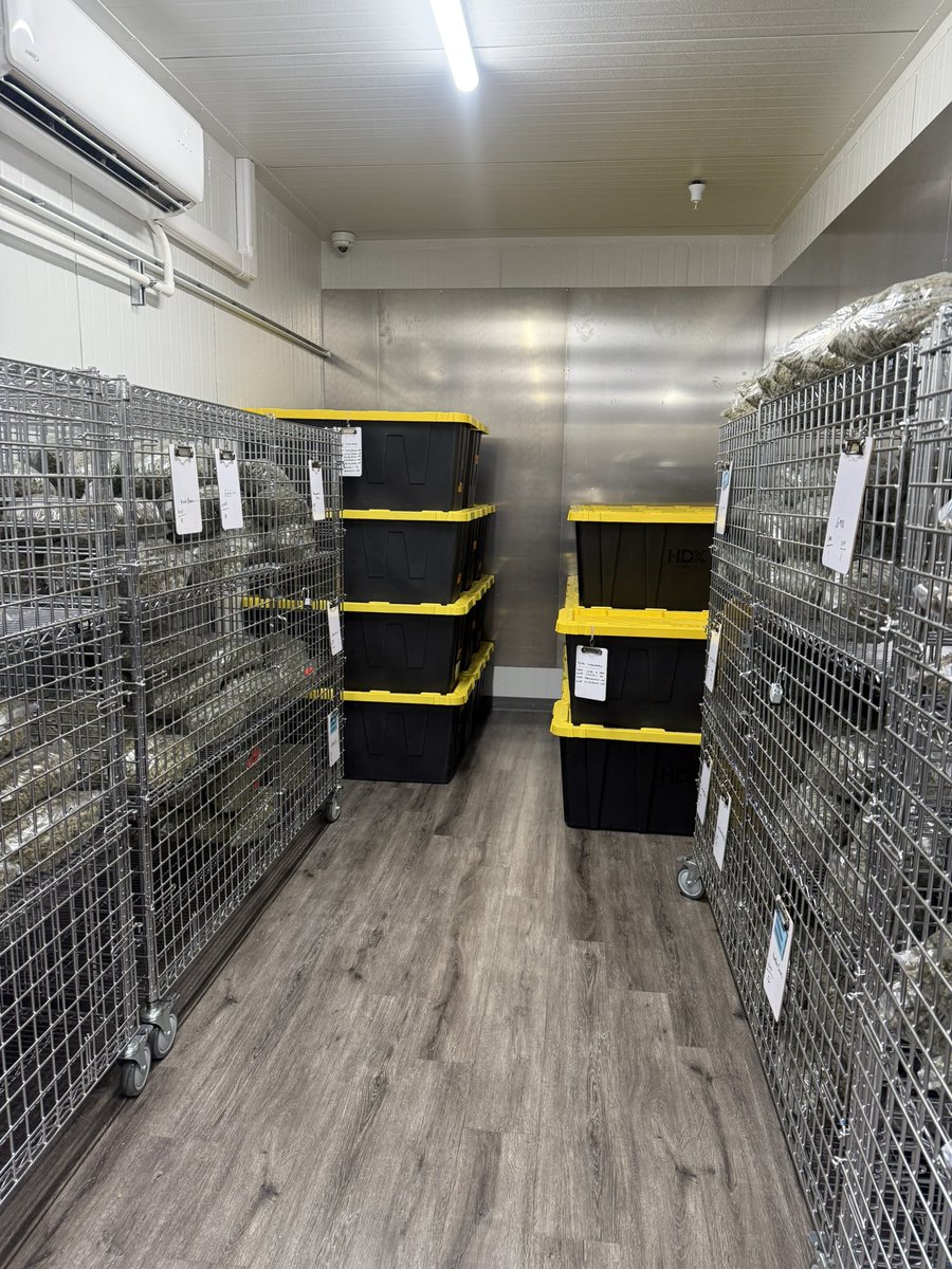 At Doobies, everything we do is rooted in our values:

1. Quality 💎
2. Affordability 🏷️
3. Transparency 🔍
4. Community 🌐

Here’s a behind-the-scenes look at our storage &amp; fulfillment room — clean, secure, climate-controlled. Because quality flower deserves quality control.