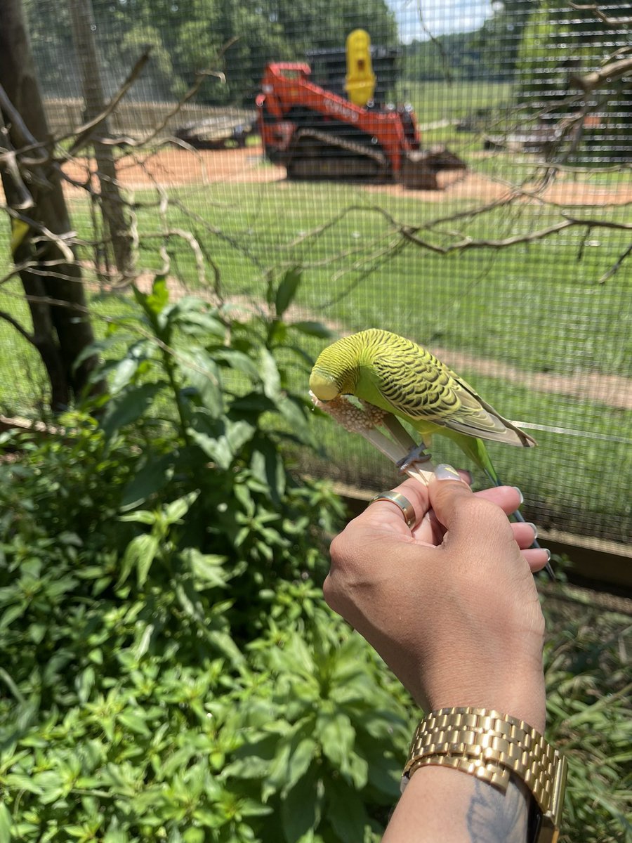 Was a little depressed so I flew to GA. to feed some animals 🦒 shit was peachy 🍑