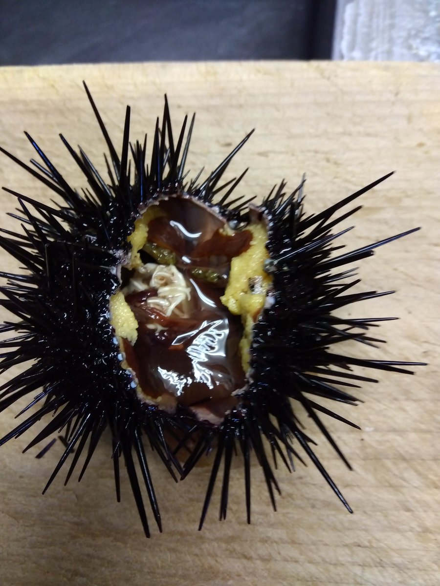 青函トンネル記念館 tweet media