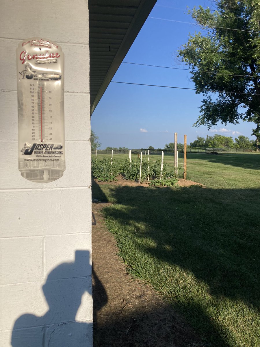Live, just taken. I realize it isn’t accurate as the sun is setting and shining on it. Still, that’s my garden like 30’ away with the same sun setting on it.