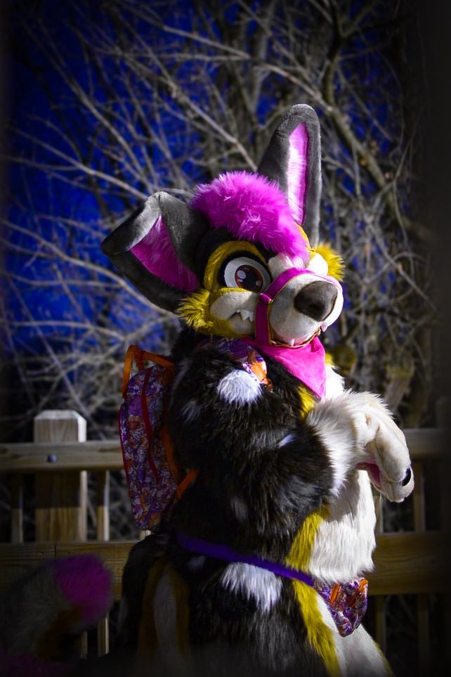 Look at this Chonker, he needs more treats 😋

#TummyTuesday