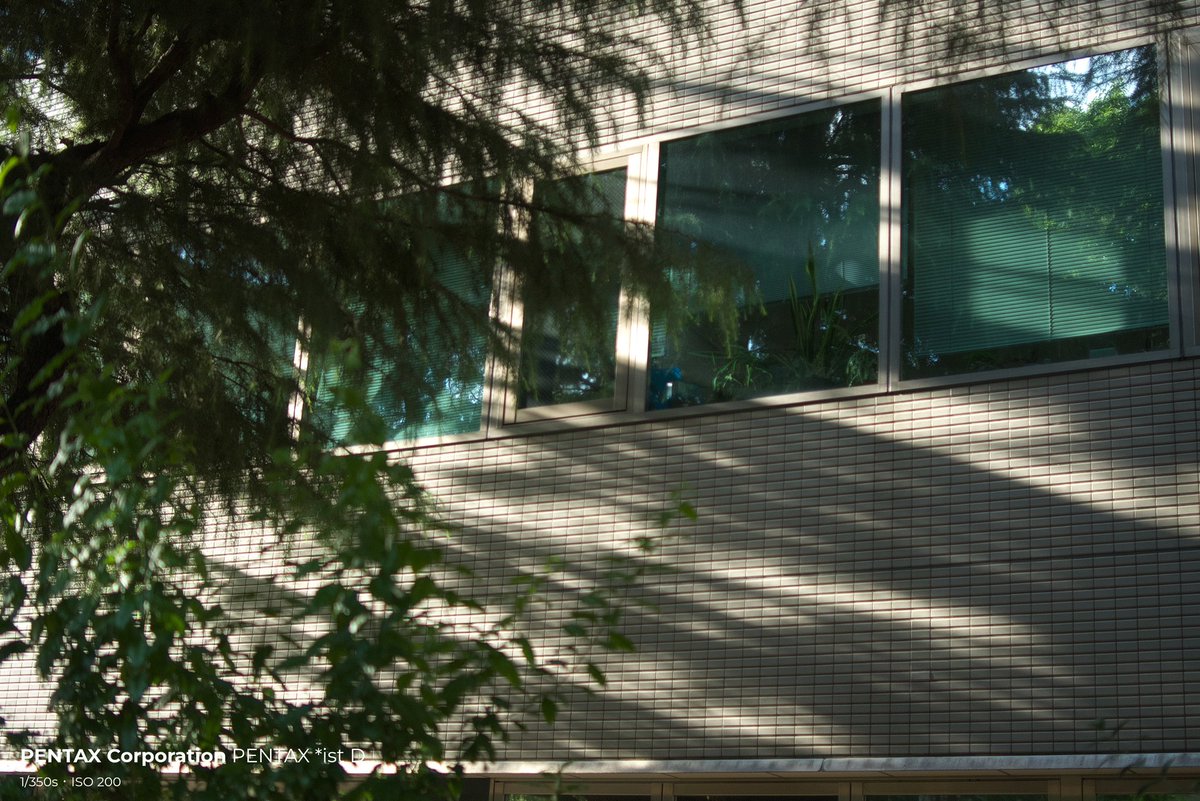 JinRbj's tweet image. おはようございます。
久し振りにCCDセンサーのistDで撮りましたが良いですね〜
#ccdsensor
#ペンタックス
#ペンタックスはいいぞ
#一眼レフはいいぞ
#pentax
#pentaxistd
#creator35mmf2