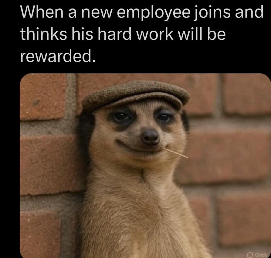 MeerKatOnX's tweet photo. “Well done buddy” https://t.co/H00UlBvMiq