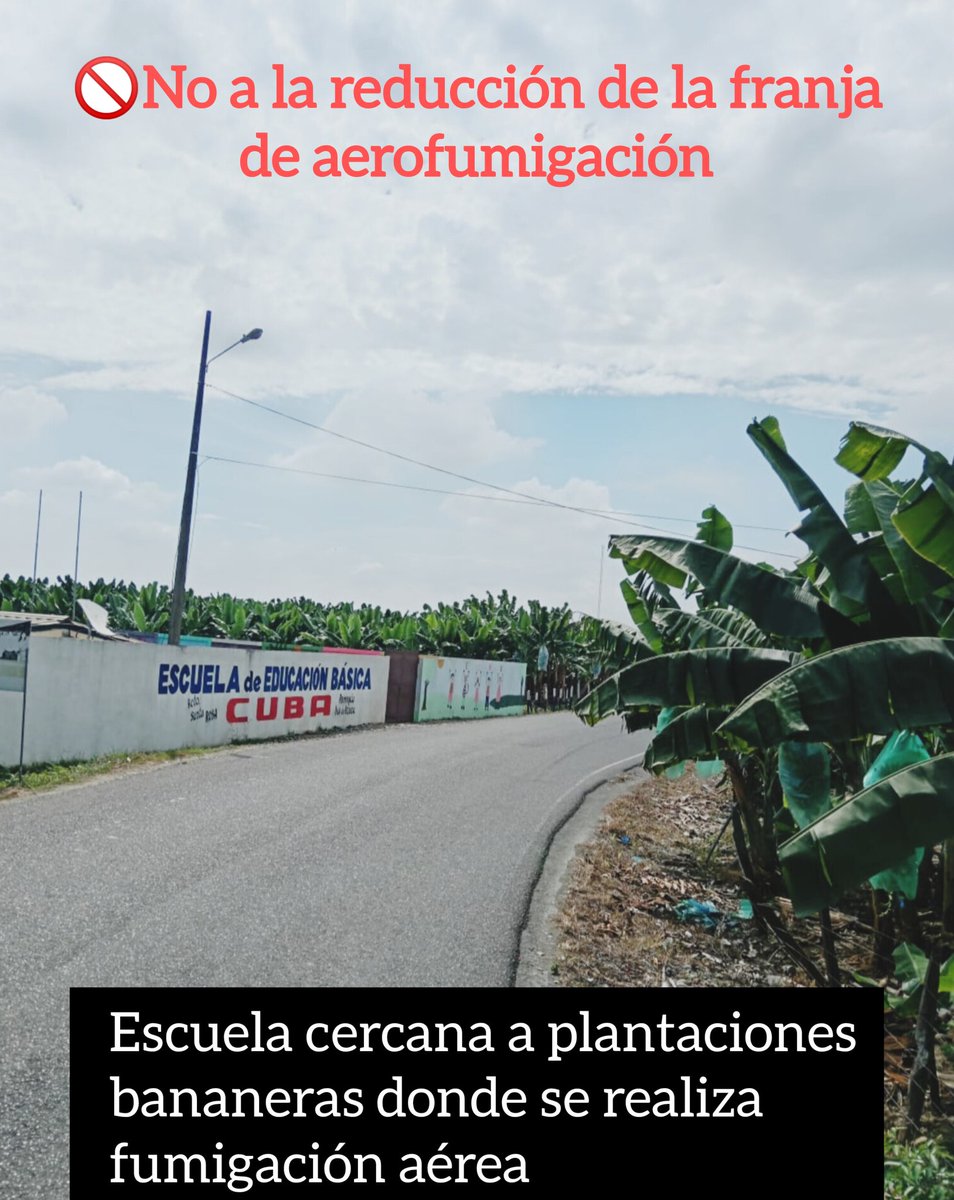 📣 El Ministerio de Agricultura de Ecuador gestiona ante el Ministerio de Salud, la reducción de la franja de seguridad para la fumigación aérea de 200 a 30 metros, lo que afectaría a miles de pobladores de las zonas bananeras.

ASTAC junto a organizaciones nacionales e